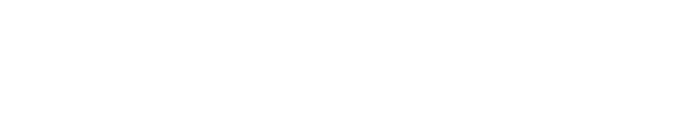 Premium Eggs